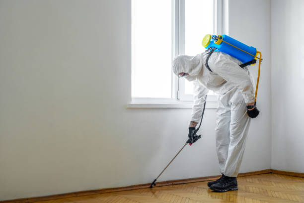 Reliable Ontonagon, MI Pest control Solutions